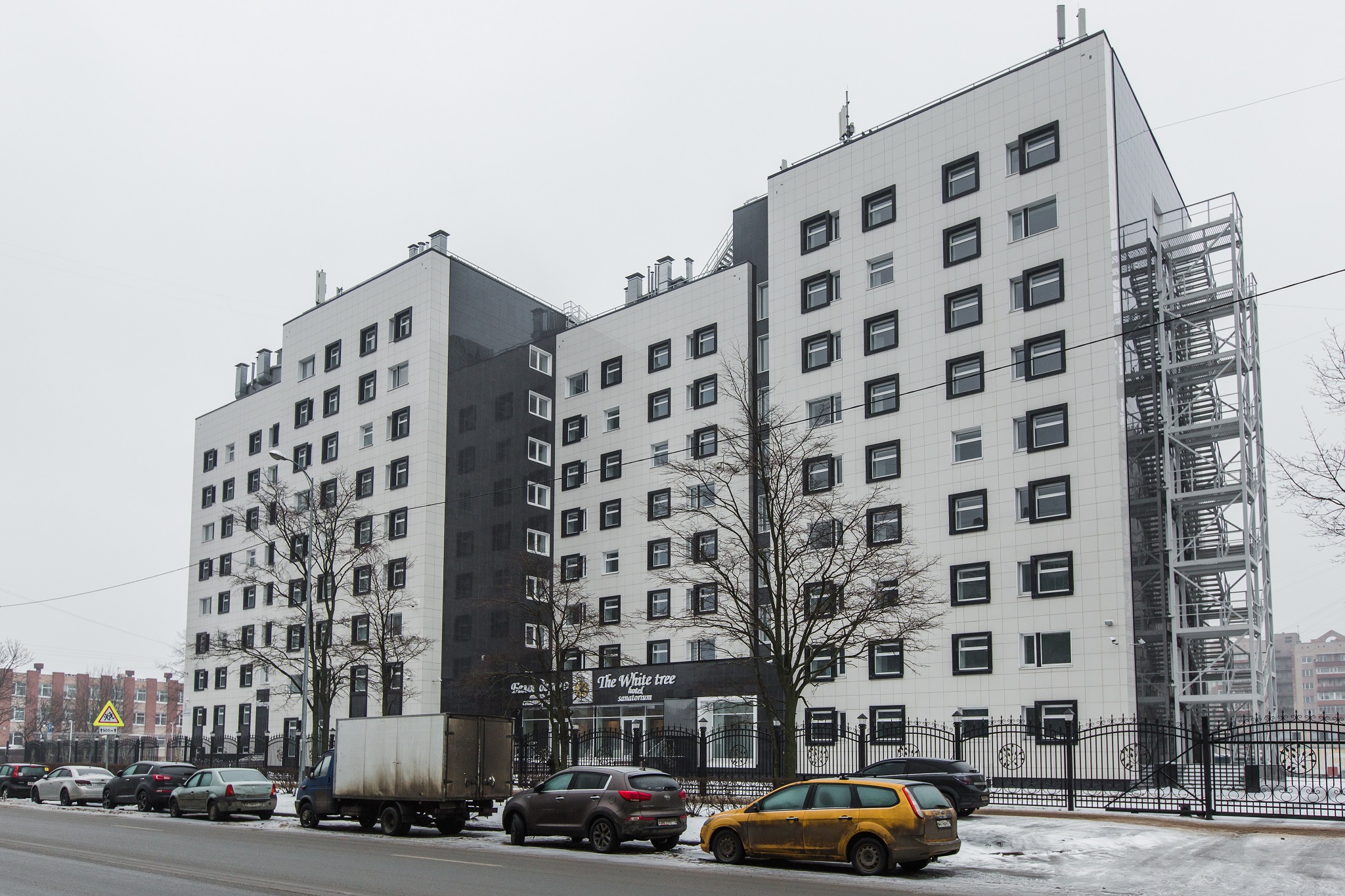 Фото Белое Дерево