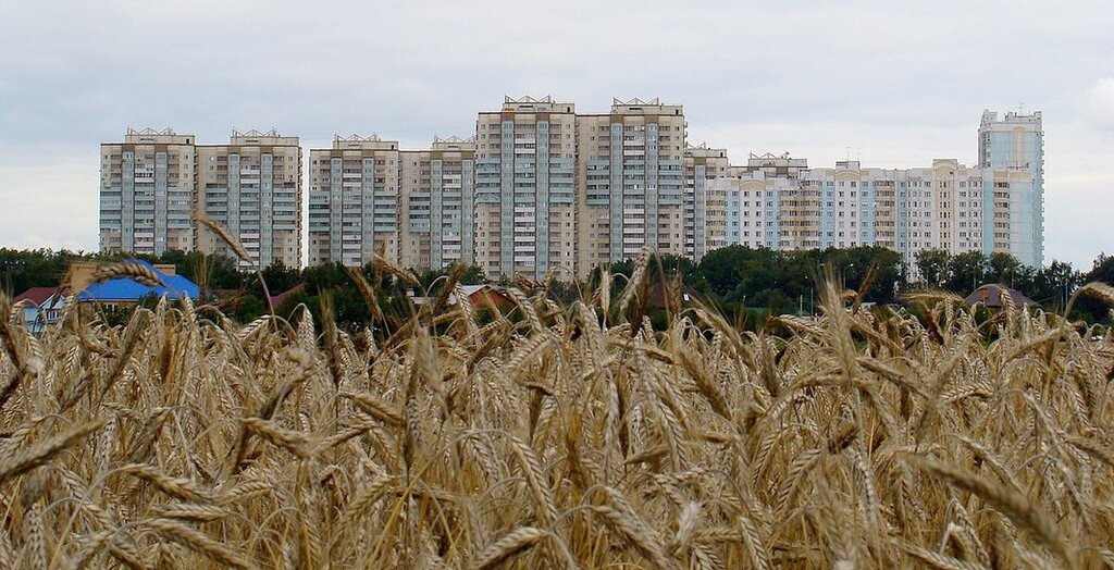 Konut servisleri kuruluşları Трехгорка, Odintsovo, foto