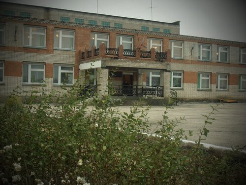 Общеобразовательная школа ГБОУ СОШ пос. Конезавод, Самарская область, фото