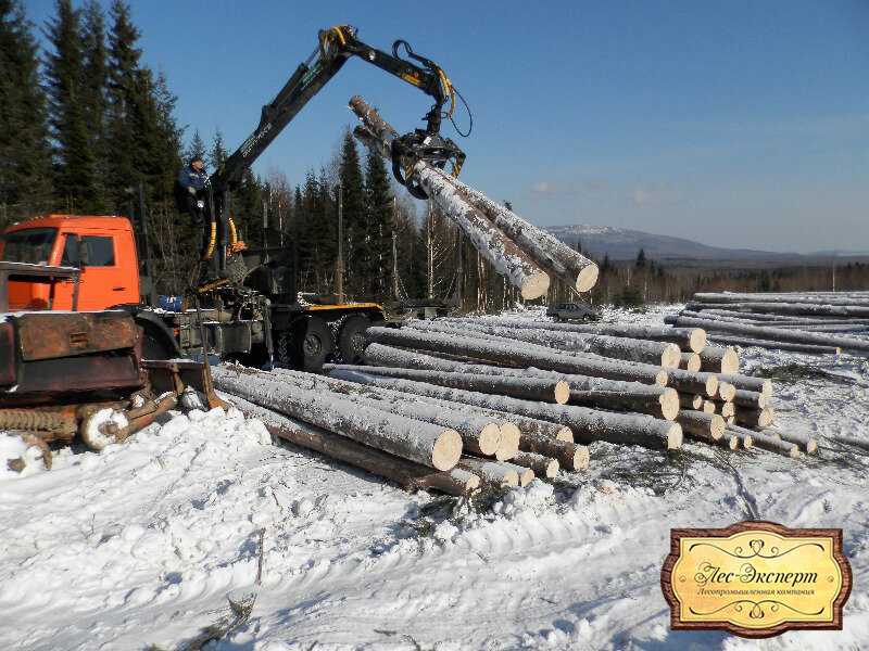 Lumber Les-Expert, Mytischi, photo