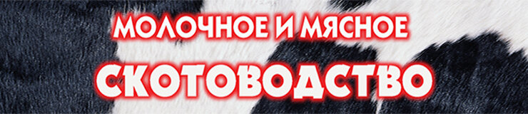 Mass media office Zhurnal Molochnoye i myasnoye skotovodstvo, Balashiha, photo