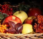 Fitosem (Transportnaya Street, 10), foodstuffs wholesale
