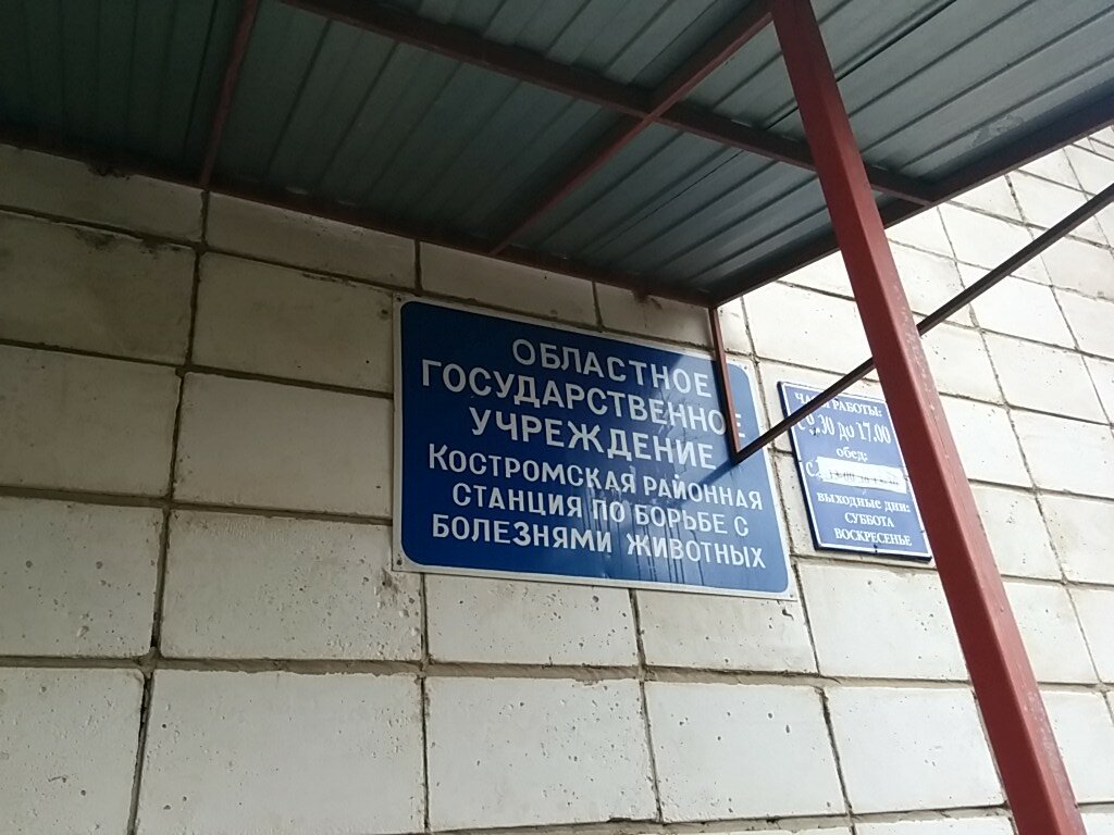 Veterinary clinic Kostromskaya rayonnaya stantsiya po borbe s boleznyami zhivotnykh, Kostroma, photo