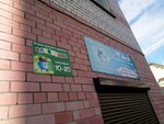 Detskaya studiya razvitiya Kapitoshka (Otradnoe, Lesnaya ulitsa, 5), centro de desarrollo infantil
