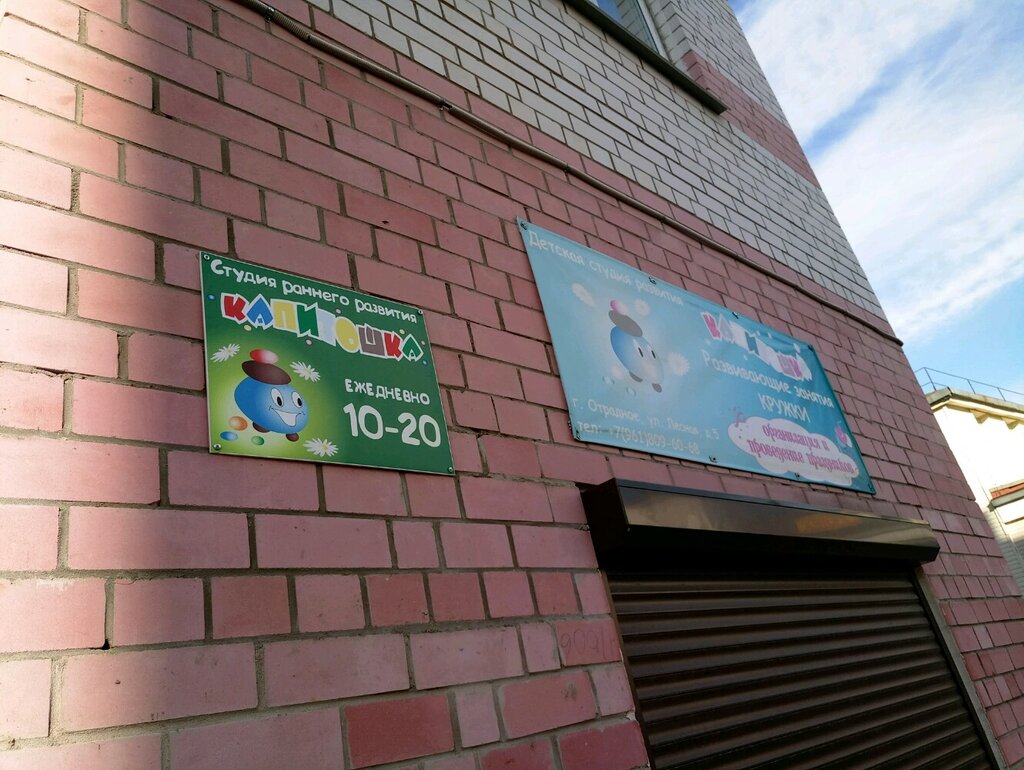 Centro de desarrollo infantil Detskaya studiya razvitiya Kapitoshka, , foto