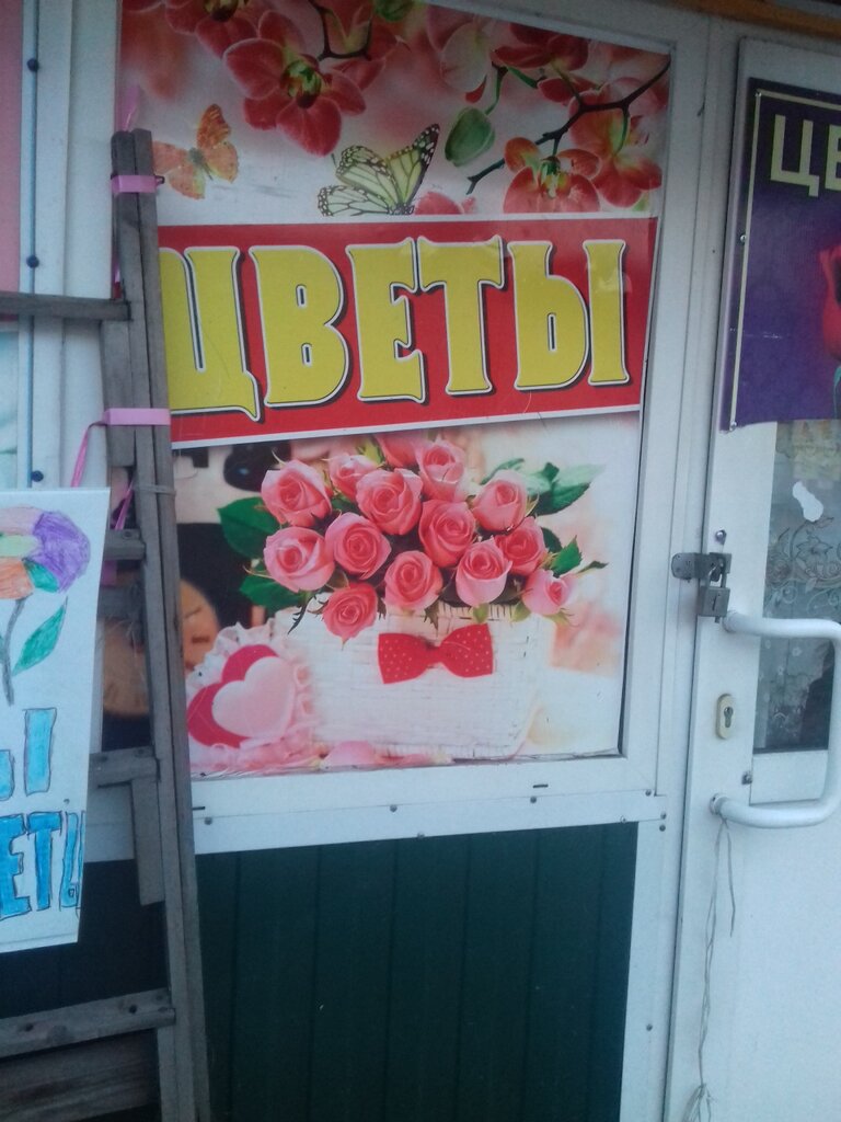 Магазин Цветкофф Курск Интернет