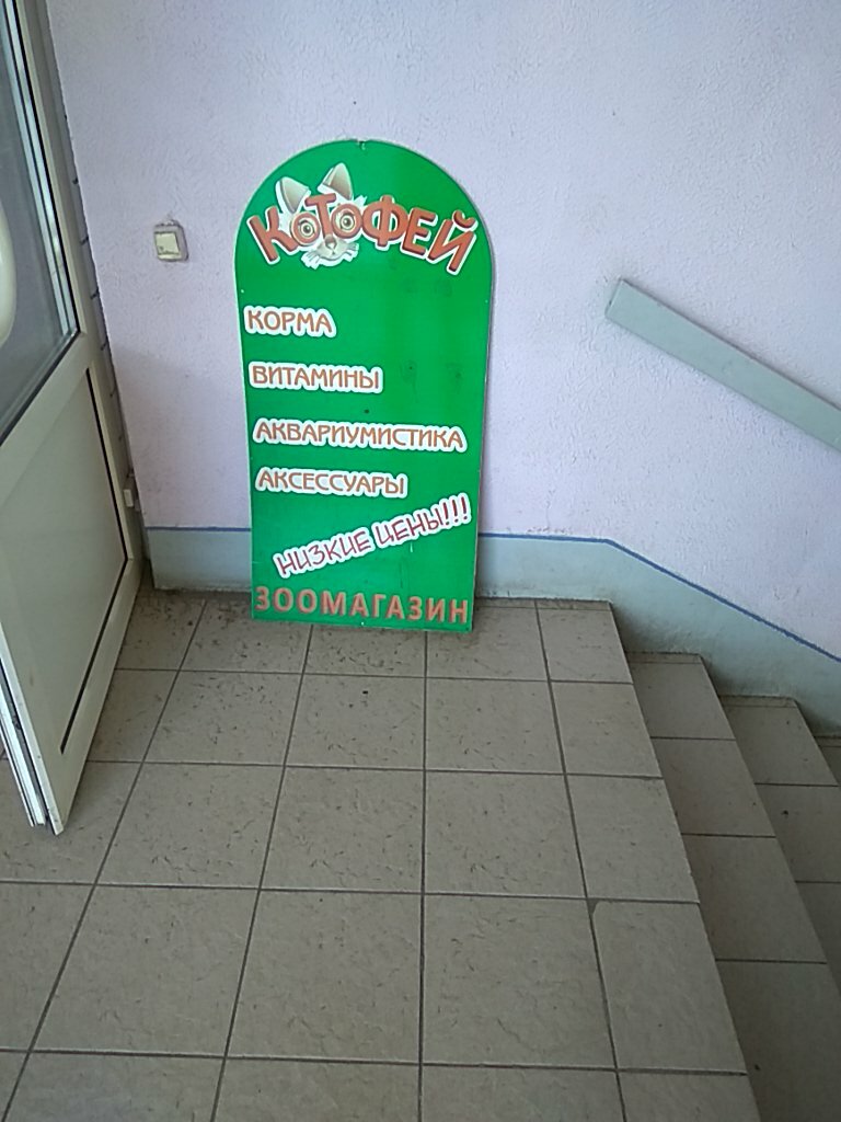 Котофей Зоомагазин Красноярск Интернет Магазин