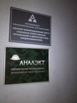 Analect (Bumazhnaya Street, 17) ، التنظيم البيئي