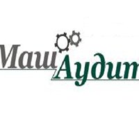 Машаудит