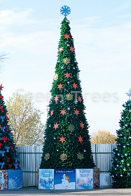 Christmas trees and christmas decorations Elka-Russ, Balashiha, photo