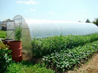 Greenhouse equipment NashaTeplica, Moscow and Moscow Oblast, photo