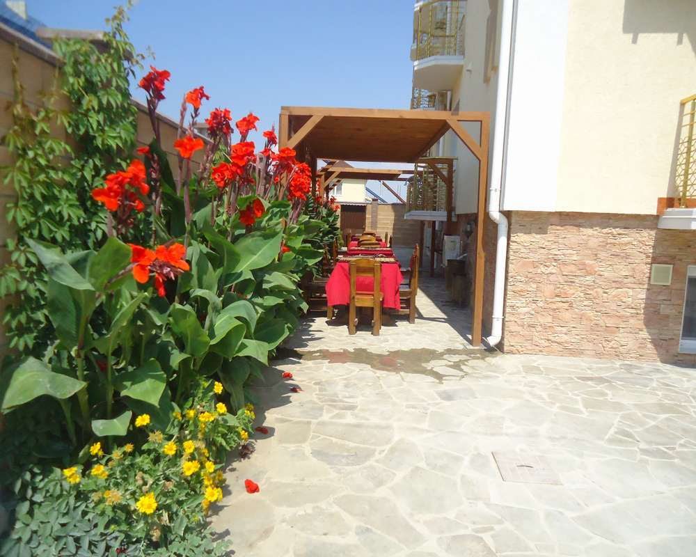 Фото Золотой