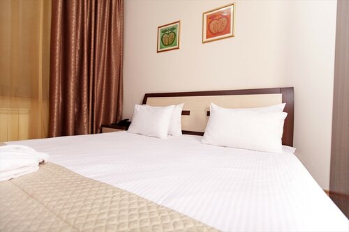 Внешний вид отеля Алма в Алматах, фото 2