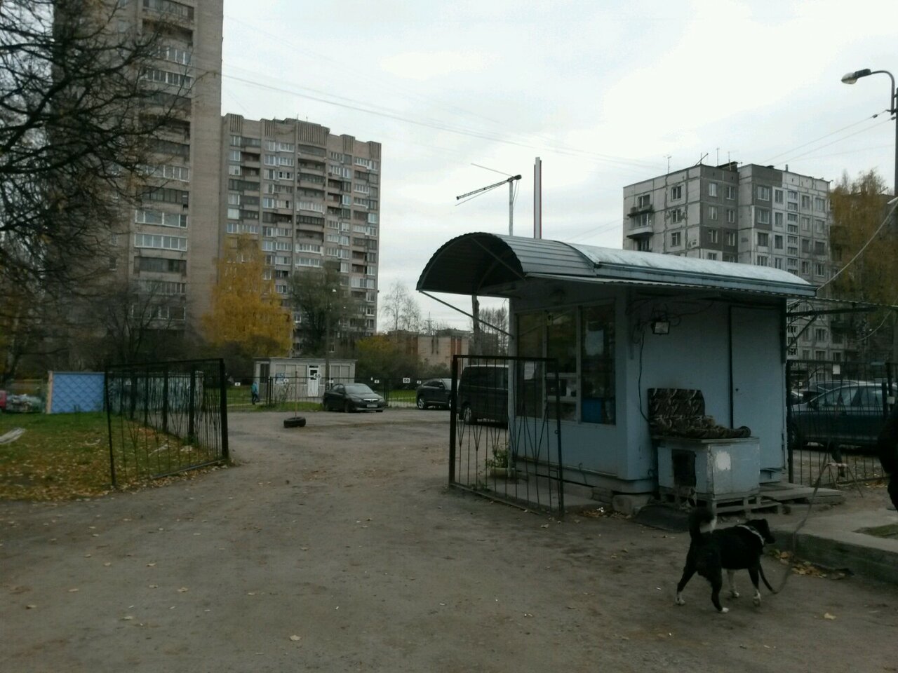 Замшина санкт петербург