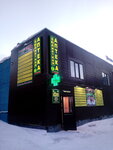 Росгосфарма (Geroev Rybachyego Street, 40Б), farmacia