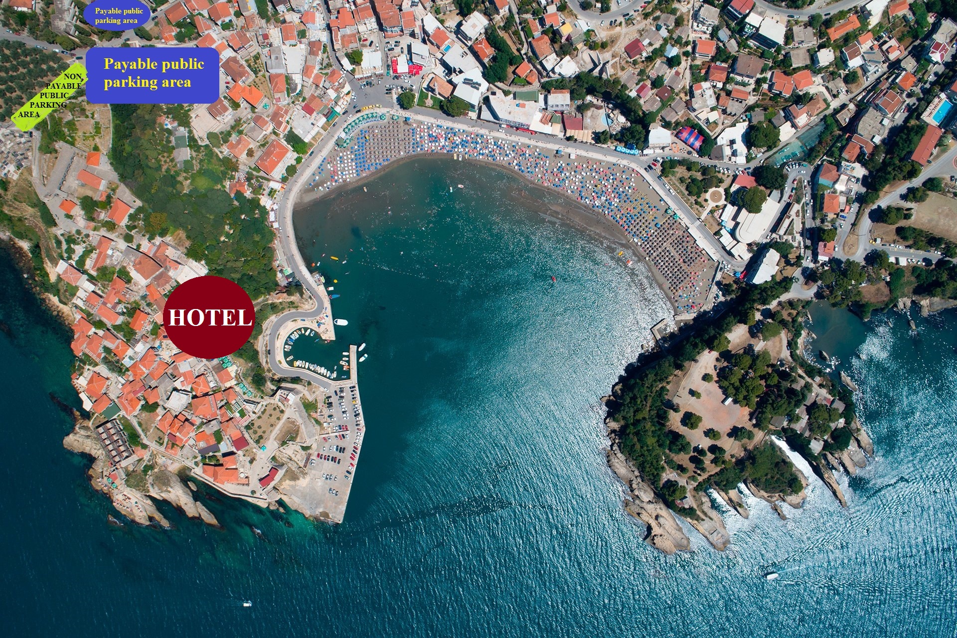 Фото Palata Venezia