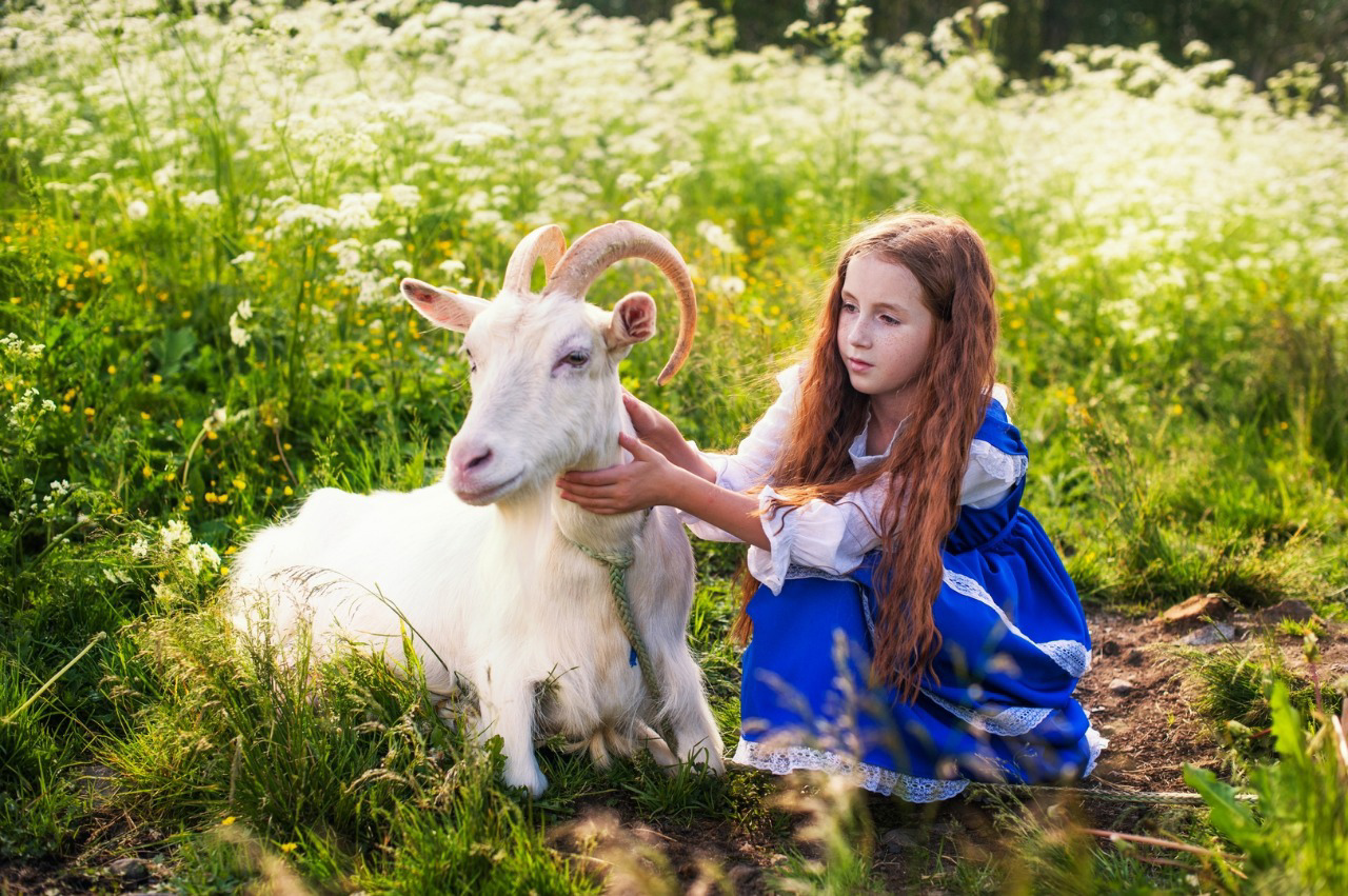 Фото Мурманская страусиная ферма