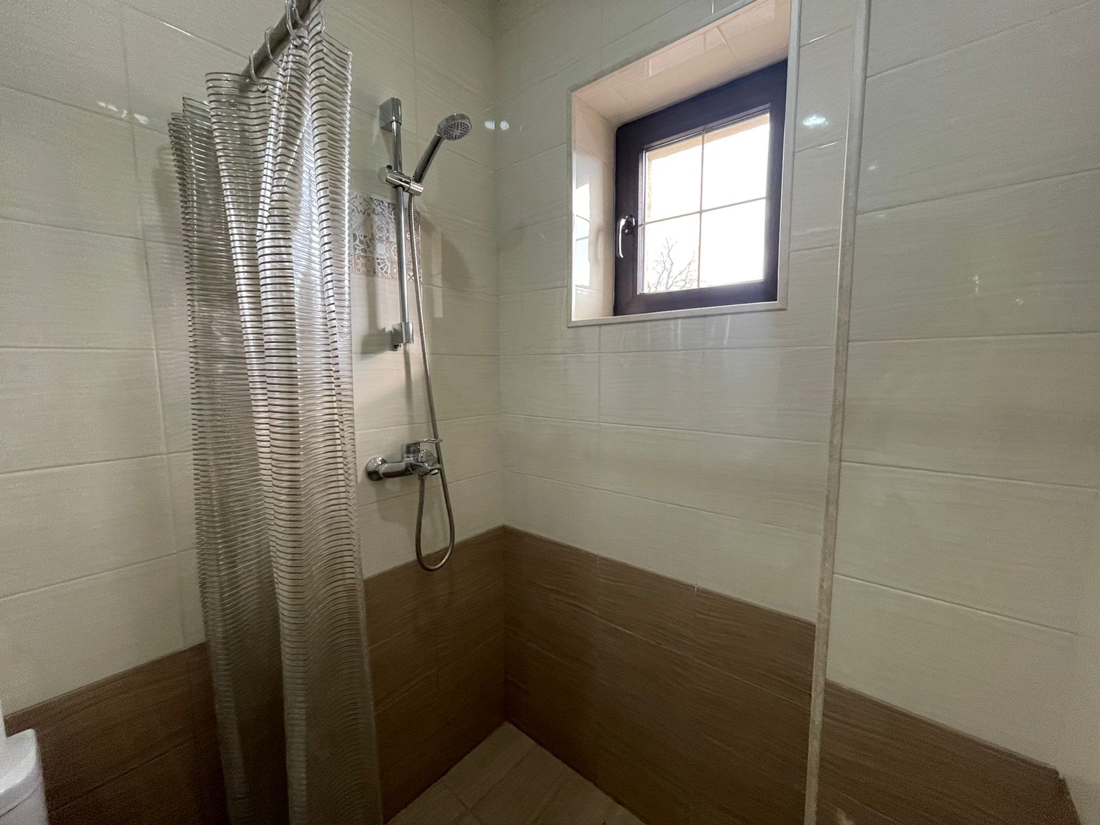 Фото Роза Кавказа