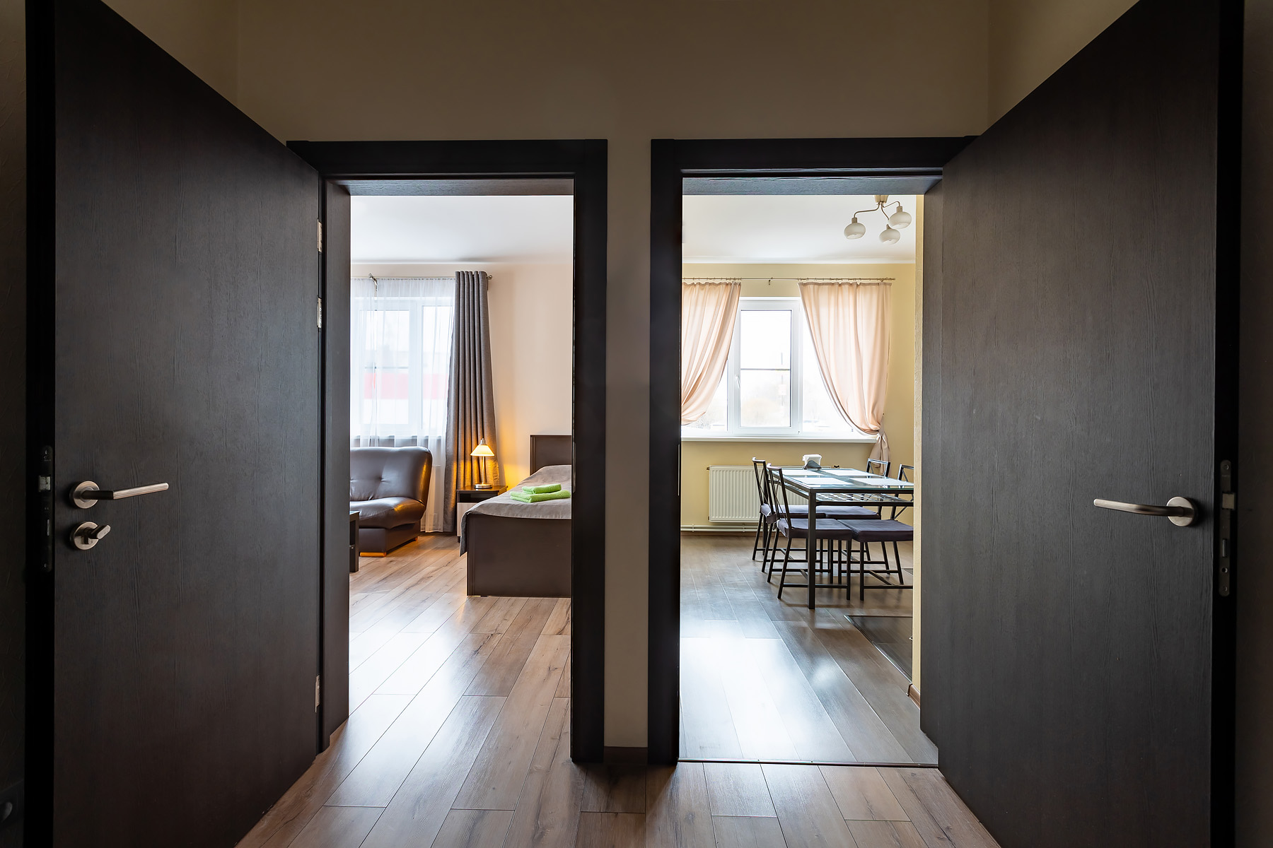 Фото Подсолнух