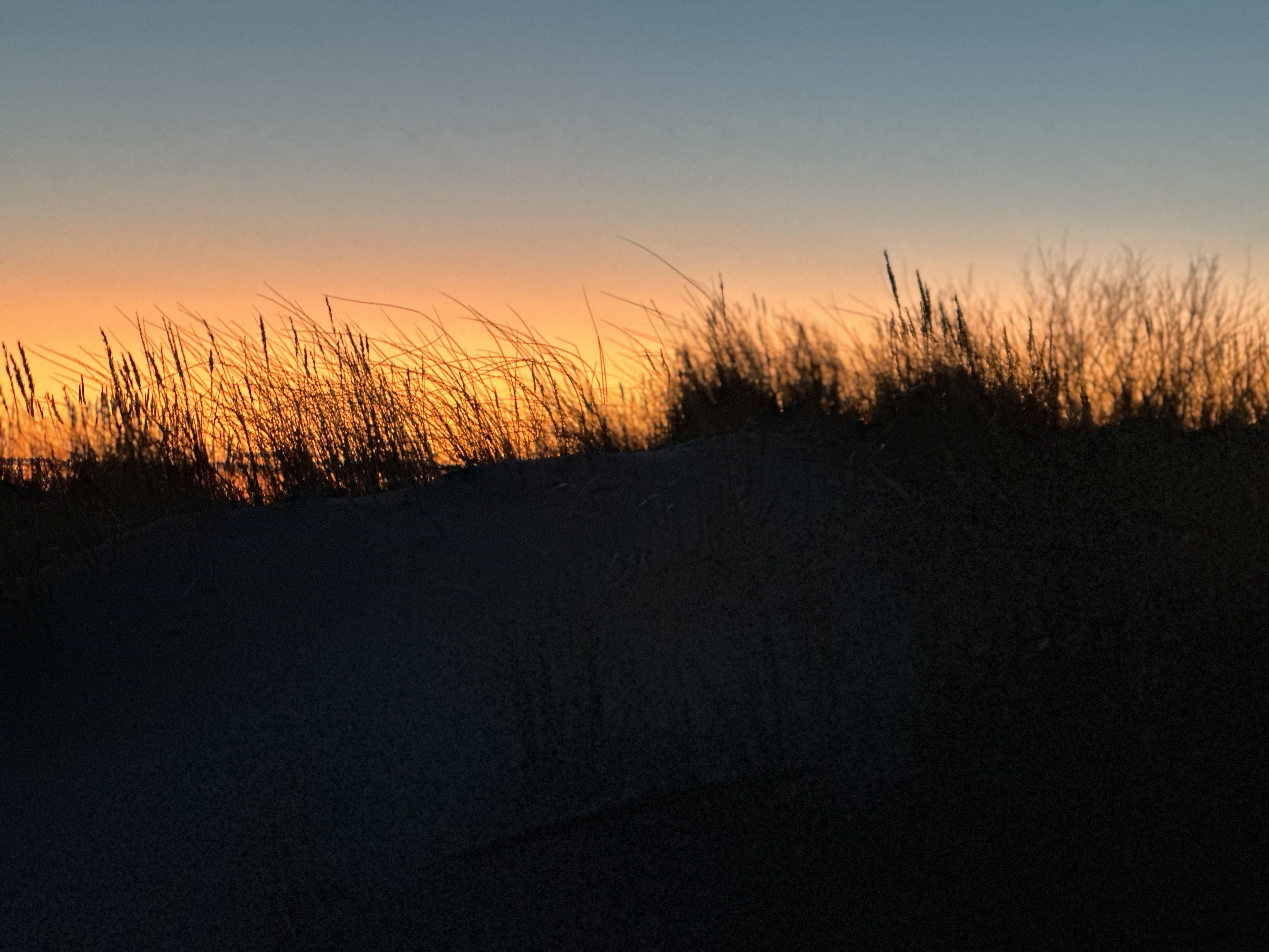 Фото Викингуд Глэмпинг