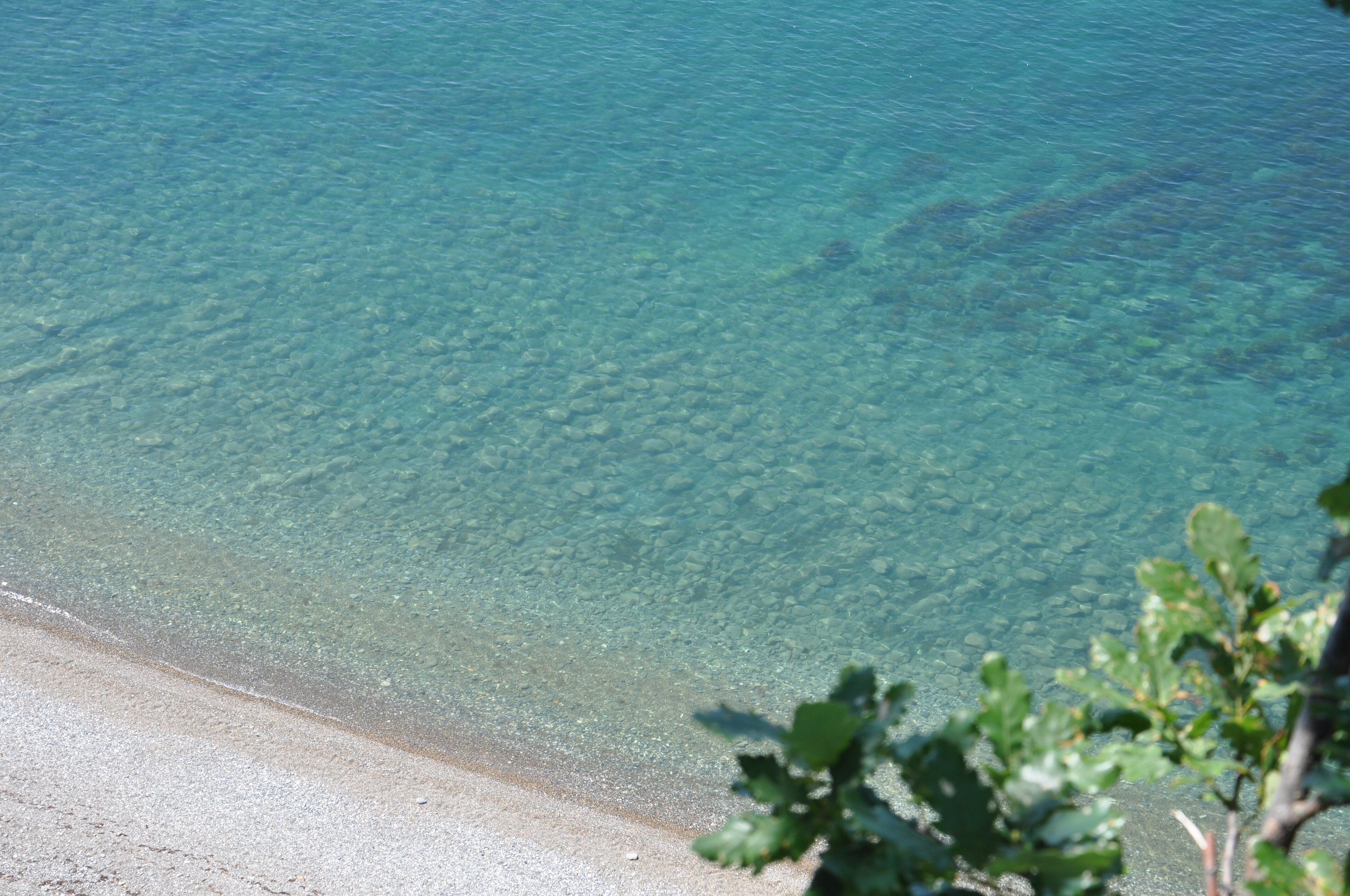 Фото Коттедж у моря Дом & Пляж