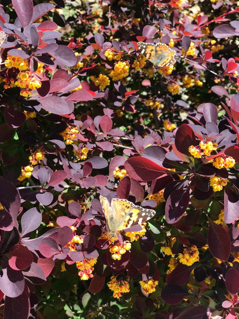 Фото Коттедж у моря Дом & Пляж