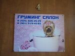 Groming salon Elit dog (Molodyozhny proyezd, 1) ، صالون حيوانات أليفة