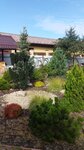 Plant nursery (selo Glinkovo, Novoglinkovskaya ulitsa, 1) ، مشتل