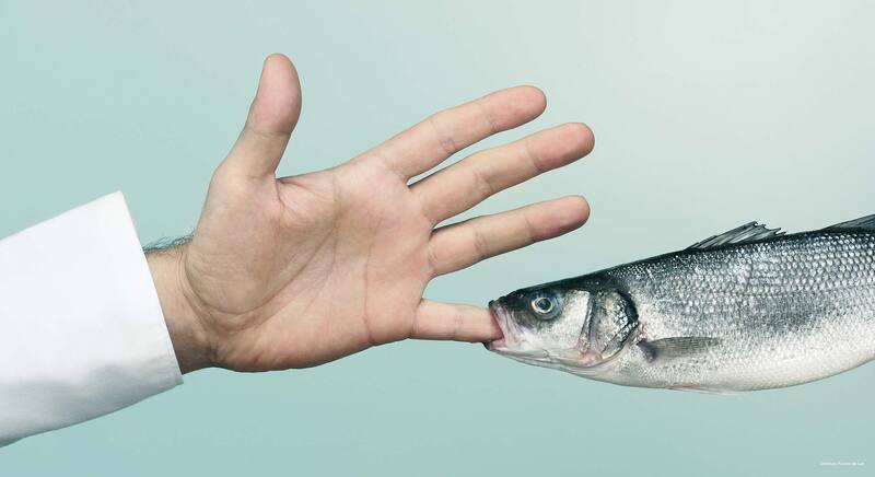 Фото Gerlóczy Café & Rooms deLux