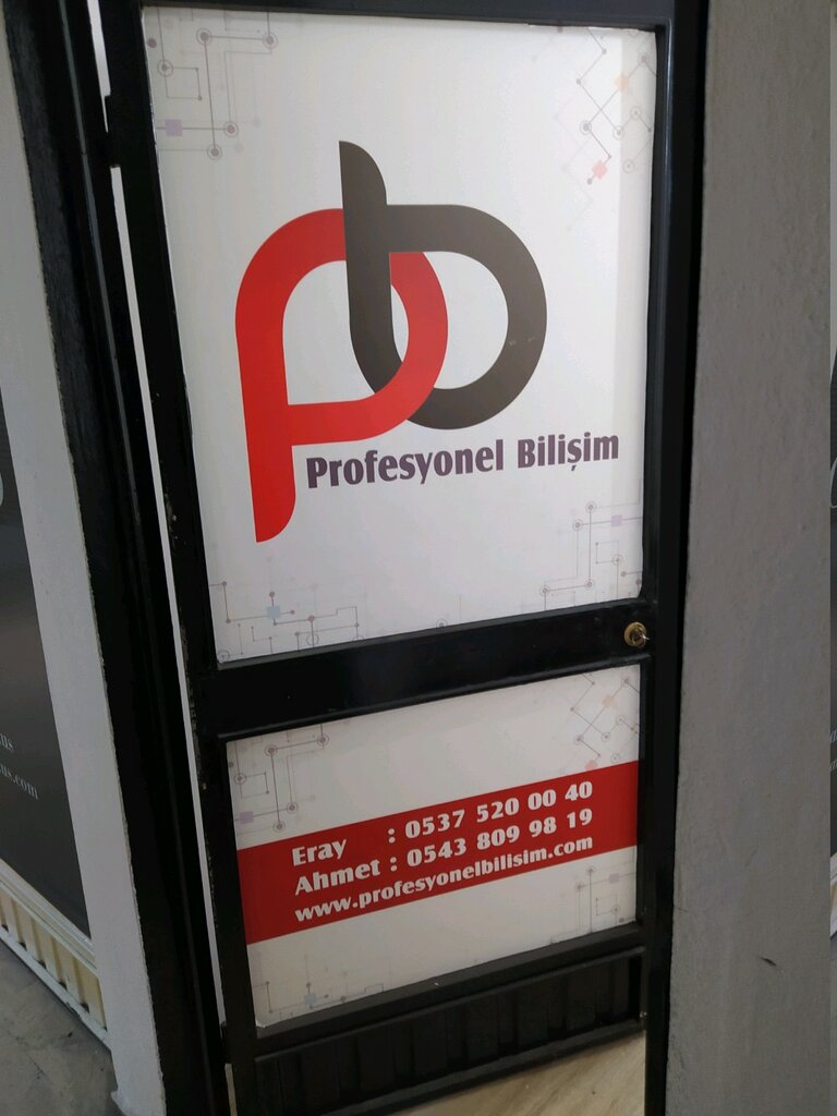 Website hosting Professional Informatics, Istanbul, photo