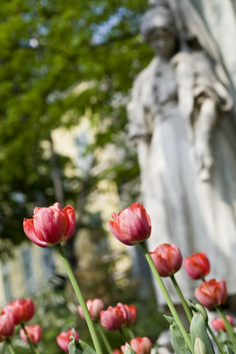Фото Hotel Erzsébet City Center Superior