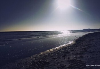 Фото Hotel Ariston Imperial