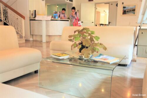 Фото Hotel Brown