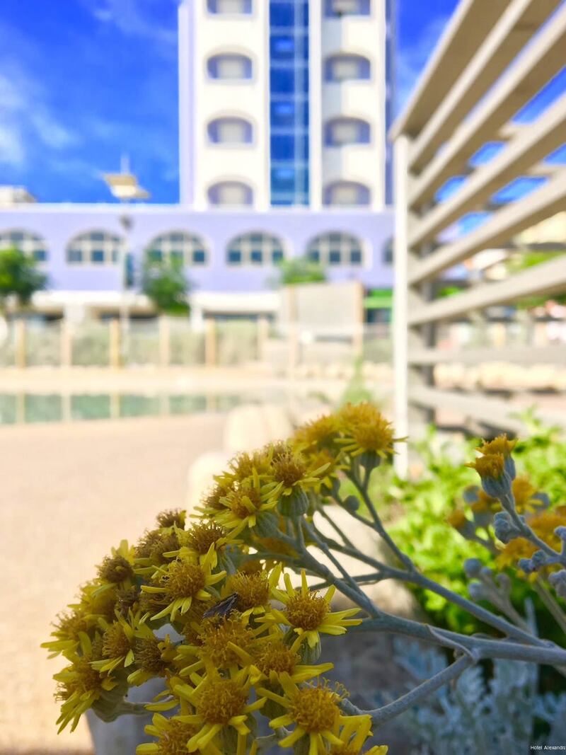 Фото Hotel Alexandra