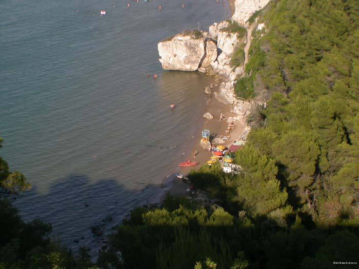 Фото B&b Baia Scirocco