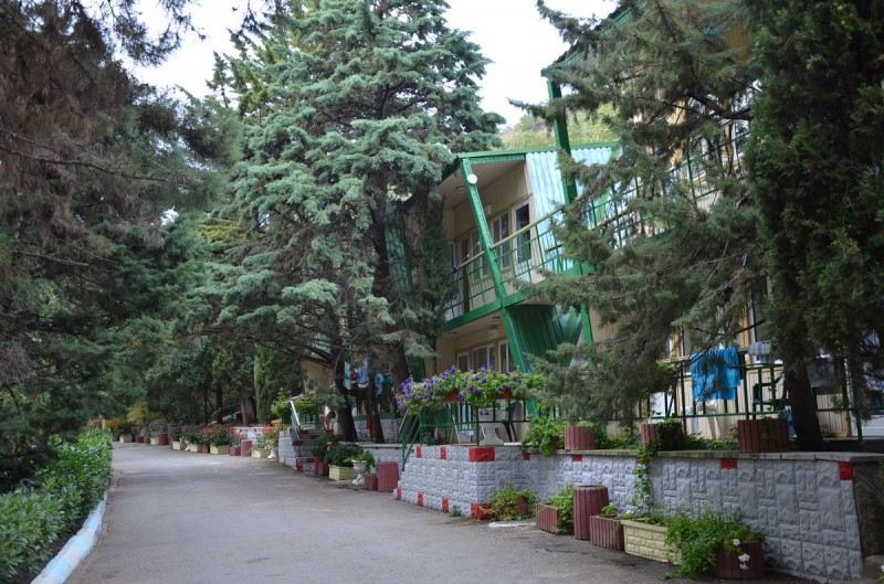 Фото Алые Паруса