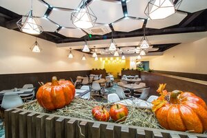 Sunflower Внуково, by Zont Hotel Group