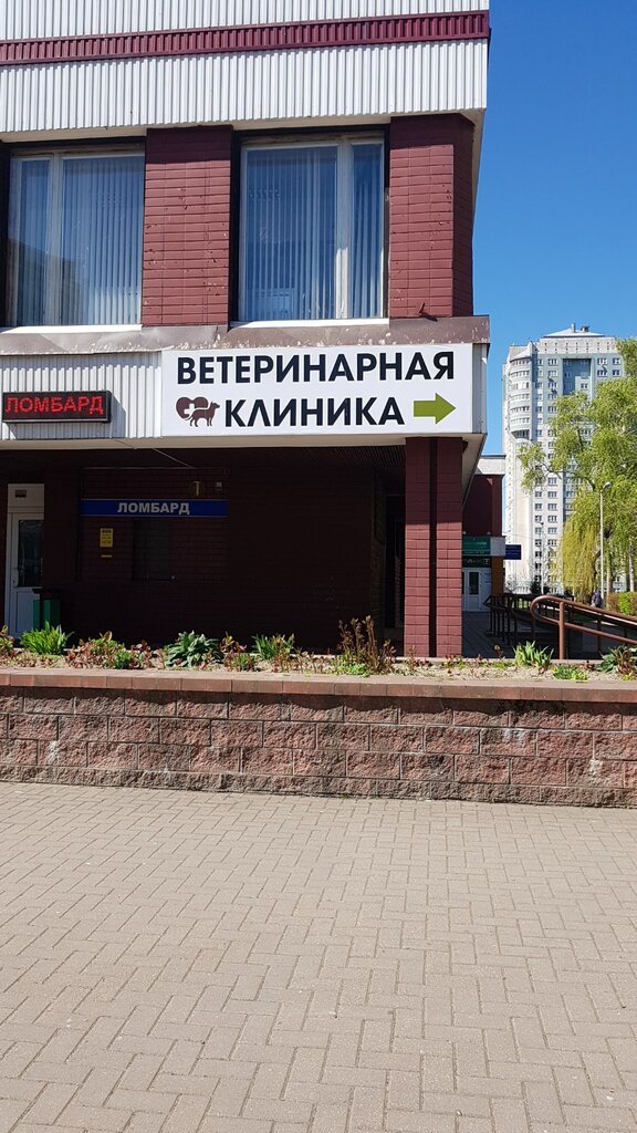 Ветеринарная клиника Доктор Сет, Минск, фото