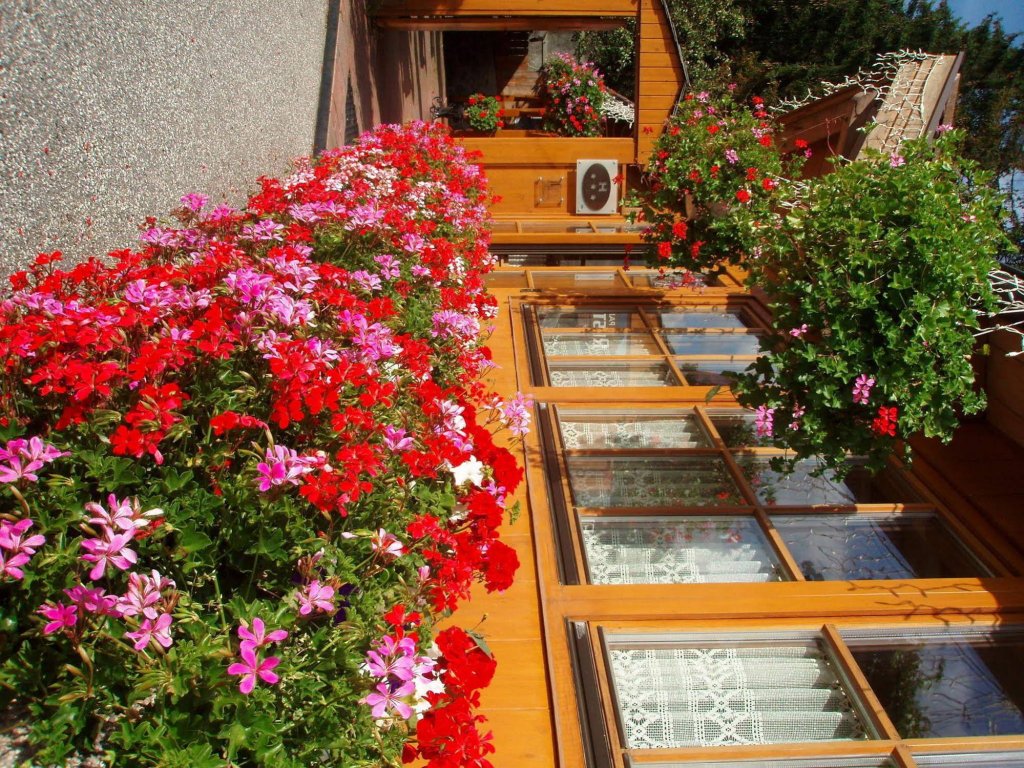 Фото Hotel Ristorante Walter