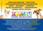 Zooрай (Yamskaya Street, 118), pet shop