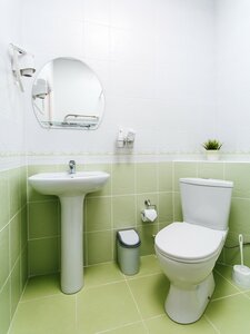 Чайка