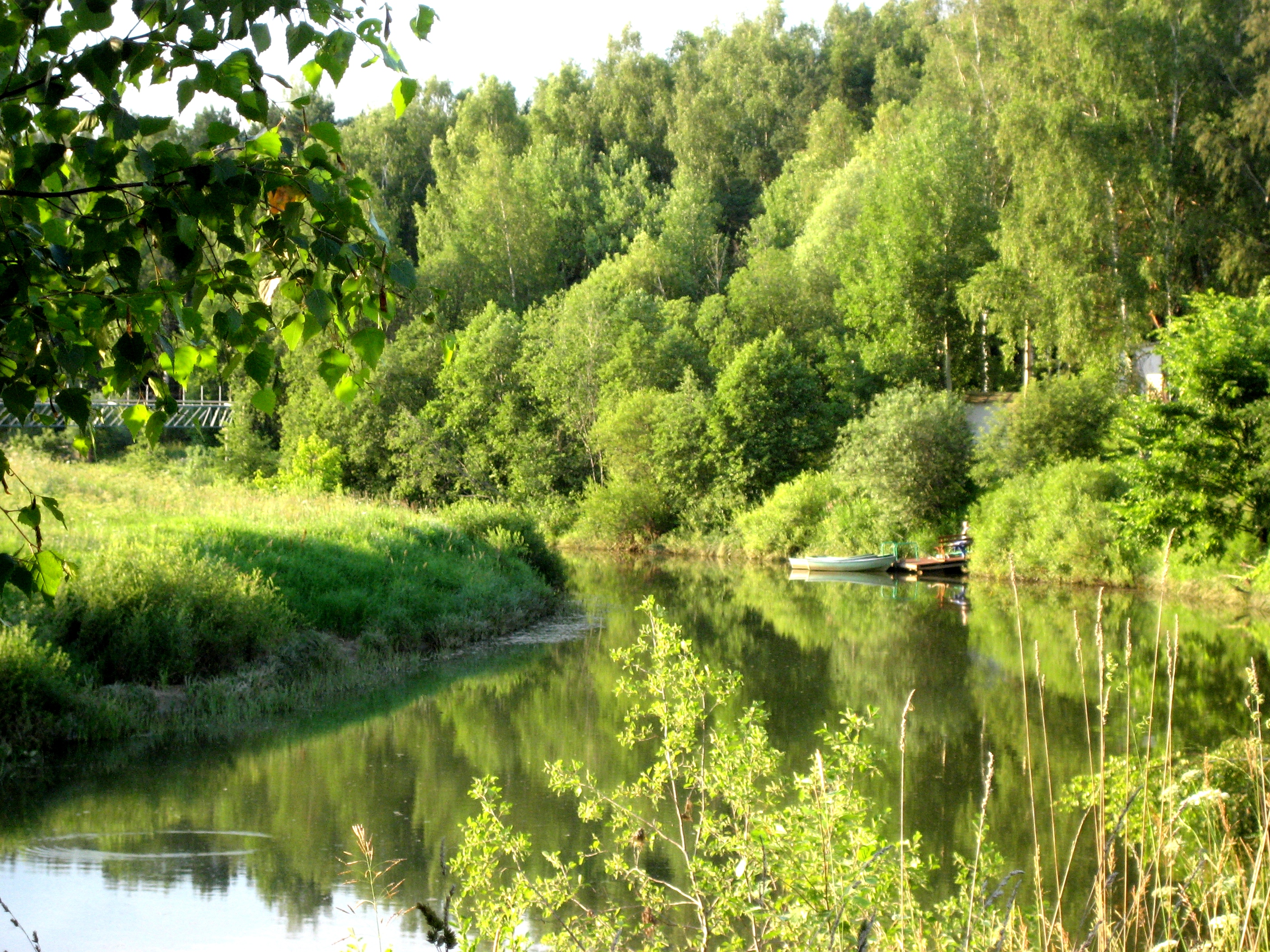 Фото Ясные зори