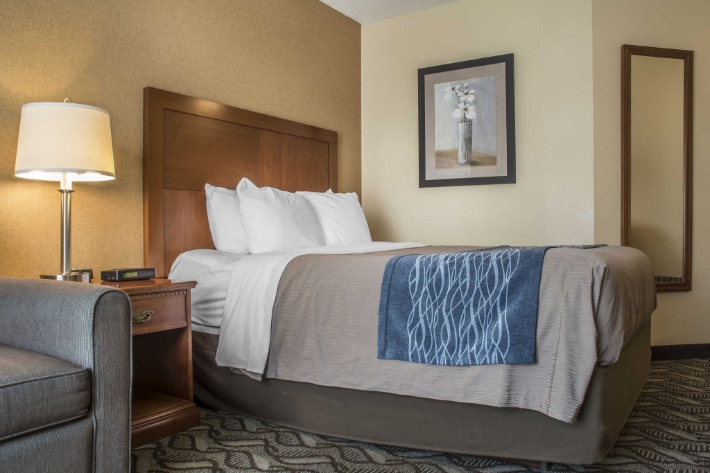 Фото Comfort Inn & Suites Ambassador Bridge