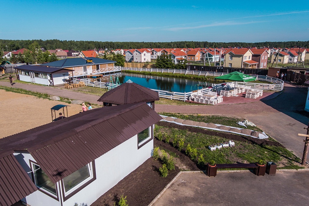 Фото Сова Сойкино