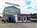 NewtoNN (selskiy posyolok Severny, 79), neumáticos y llantas
