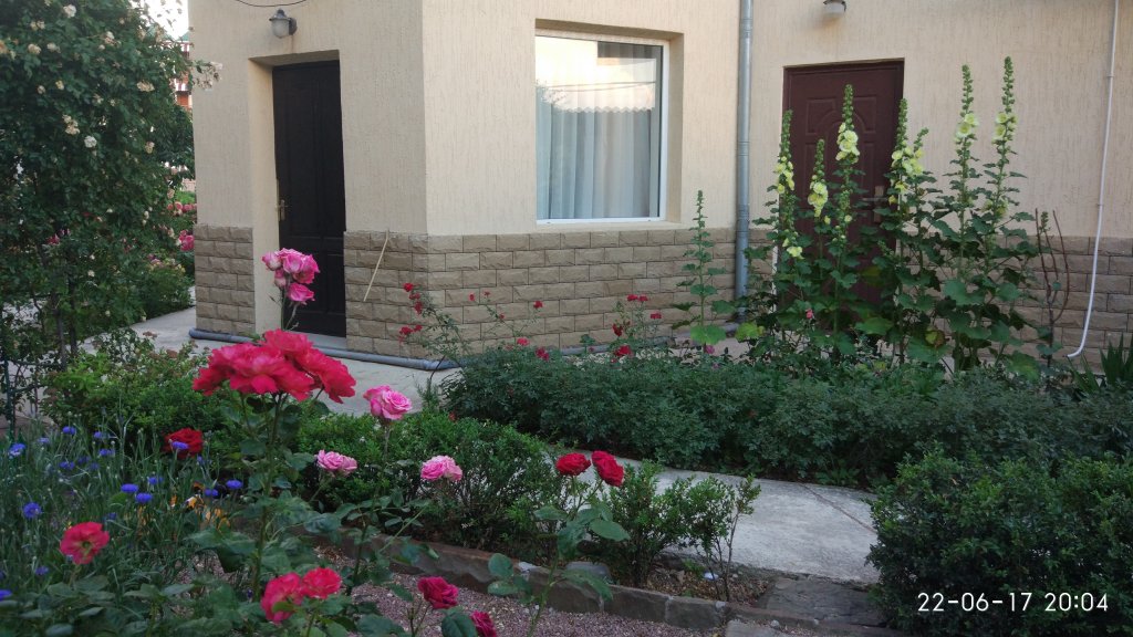 Фото Встреча