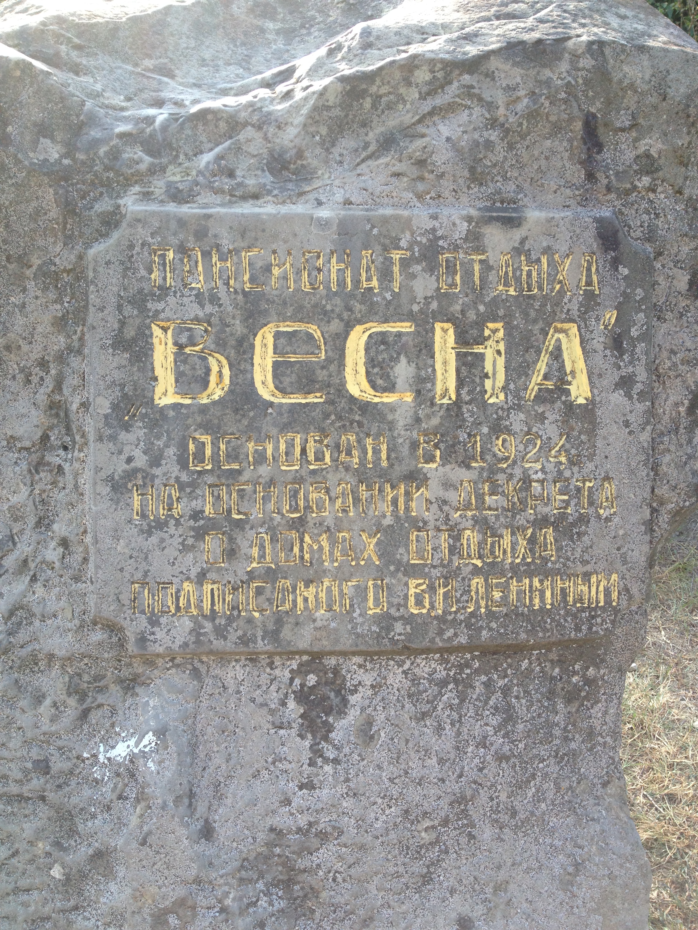 Фото Галина-чайка