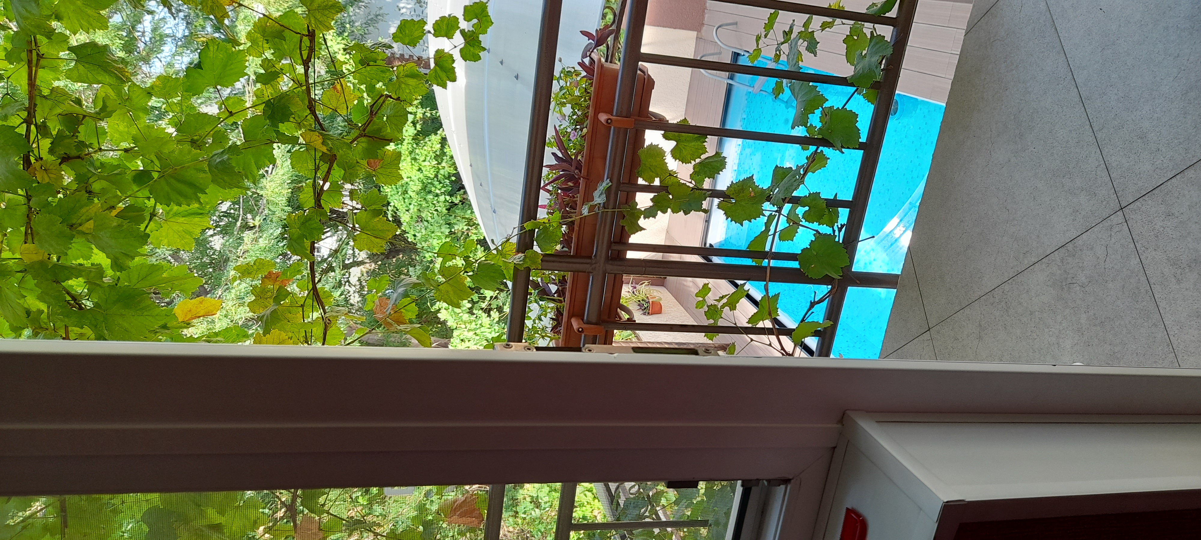 Фото Морской Прибой