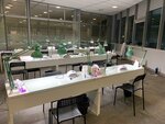 Clover beauty school (Settlement of Ulyanovskogo Lesoparka, 1с1), training of masters for beauty salons