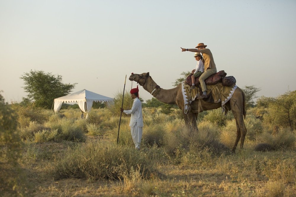 Фото Royal Desert Camps